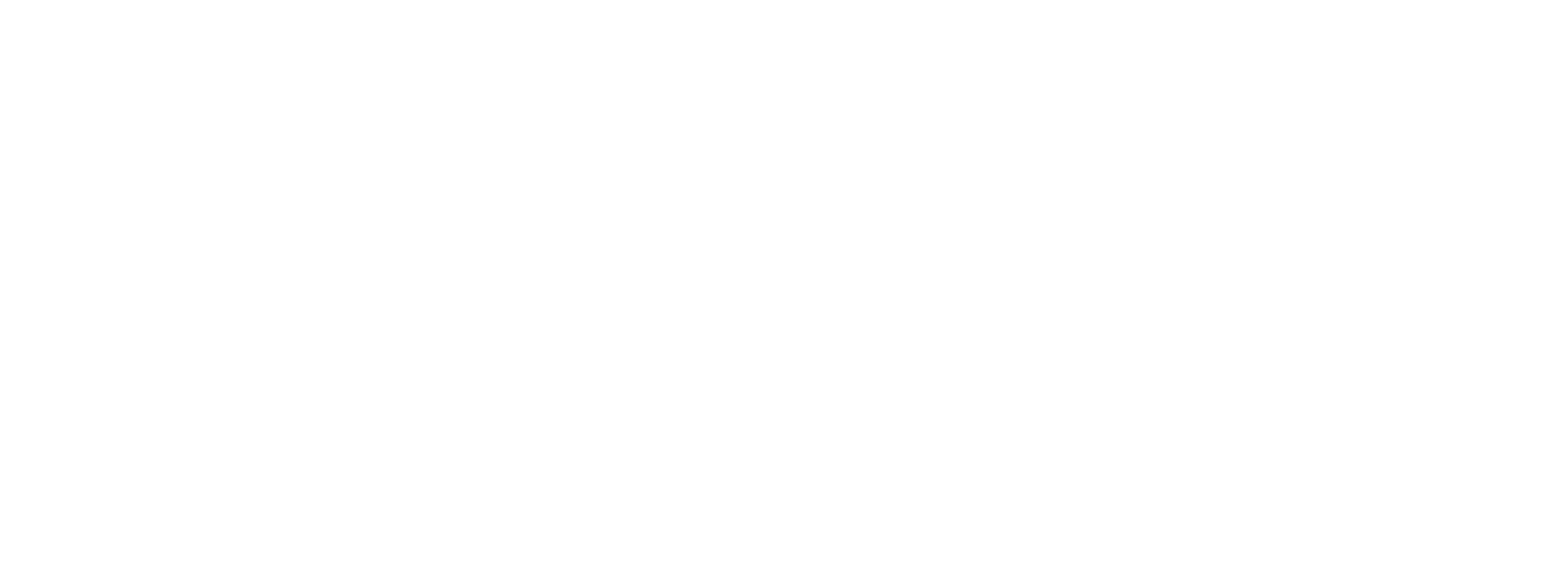 Leader logo