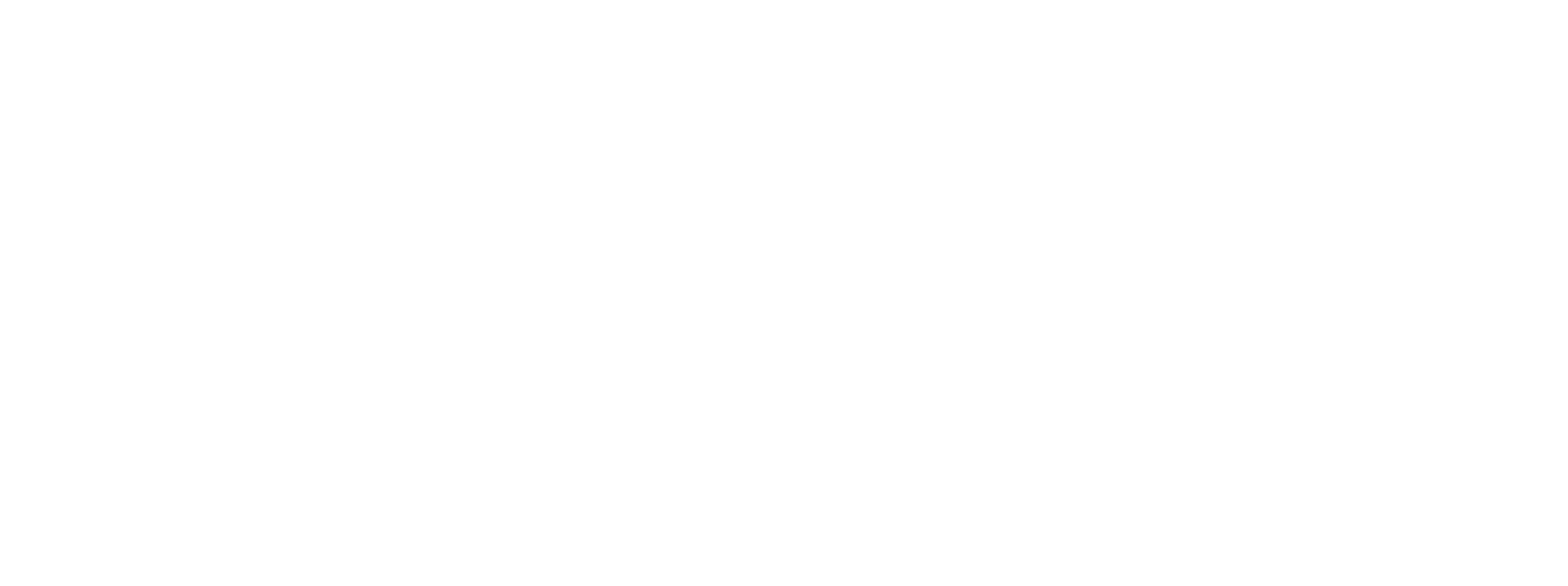 ninjaOne logo